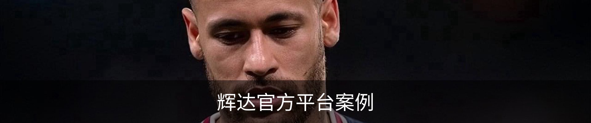 辉达官方平台案例